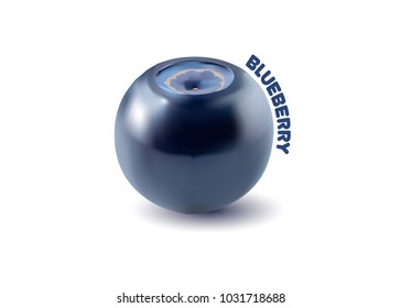 Blueberry. Vector berry on a white background. Vector illustration for stickers, posters, cards. Wild berry.