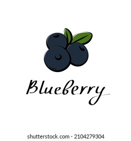 Blueberry vector cartoon flat illustration. Bilberry whortleberry huckleberry hurtleberry sign. Fruit berry and vegetable logo