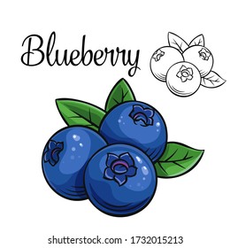 Blueberry vector drawing icon. Hand drawn berry in retro style, summer fruit illustration for design advertising products shop or market.