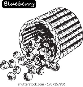 Blueberry vector drawing. Isolated berry branch sketch on white background. Summer fruit engraved style illustration. Detailed hand drawn vegetarian food. Great for label, poster, print