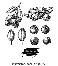 Blueberry vector drawing set. Isolated hand drawn berry, heap, branch and leaf on white background.  Summer fruit engraved style illustration. Detailed vegetarian food. Great for label, poster, print