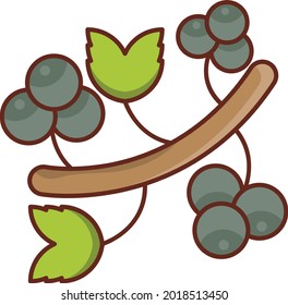 blueberry vector flat color icon
