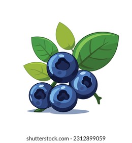 blueberry vector flat color white background