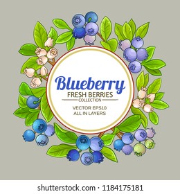blueberry vector frame