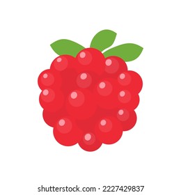 Blueberry vector. Fresh berries. Healthy fruits contain antioxidants.