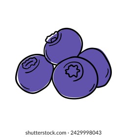 Blueberry vector icon in doodle style. Symbol in simple design. Cartoon object hand drawn isolated on white background.