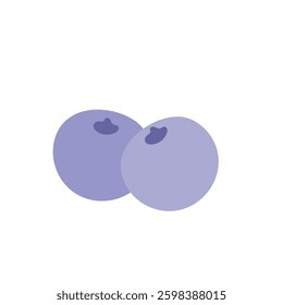 blueberry vector icon illustration on the white background
