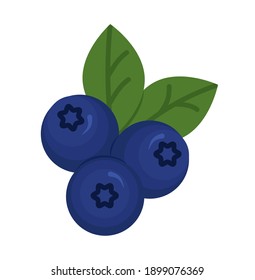 Blueberry vector icon on white background, flat, cartoon style. For web design and print. eps 10