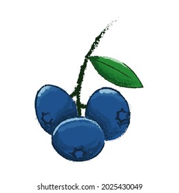 Blueberry vector icon on white background. 