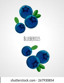 Blueberry vector illustration.