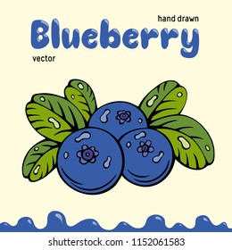 Blueberry vector illustration, berries images. Doodle Blueberry vector illustration in blue and green color. Blueberry berries images for menu, package design. Vector berries images of blueberry