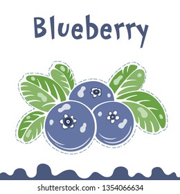 Blueberry vector illustration, berries images. Doodle Blueberry vector illustration in violet blue and green color. Blueberry berries images for menu, package design. Cartoon berries images of