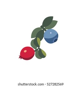 Blueberry vector illustration. cranberry 