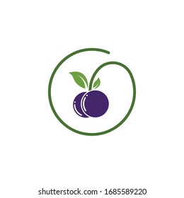 Designvorlage zur Vektorillustration von Blaubeeren
