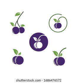 blueberry vector illustration design template