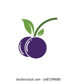 blueberry vector illustration design template