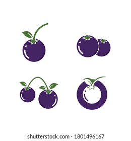 Blaubeere, Vektorgrafik-Design-Vorlage