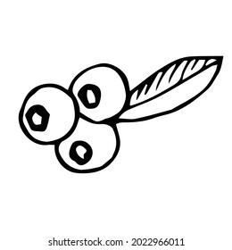 Blaubeere, Vektorgrafik von Hand gezeichnetem Doodle
