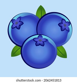 Blueberry vector illustration for Logo and Packaging drawing, handrawn, vintage, line art of Blueberry on blue background. EPS10