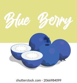 blueberry vector illustration with section , beautiful square background design