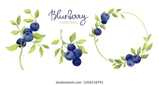 Blueberry - vector illustrations. Set of design elements with a branch with leaves and berries. Freehand drawing in watercolor style.	