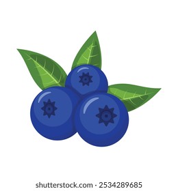 Vetor de mirtilo. Blueberry isolado no fundo branco.