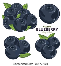 Blueberry vector isolated on white background