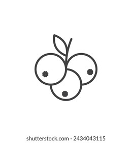 Blueberry Vector Line Icon illustration.