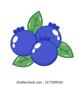 Blueberry vector. blueberry on white background. symbol. logo design.