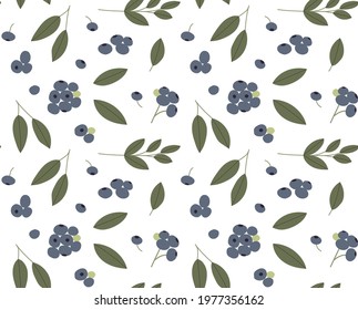 Blueberry vector seamless pattern with branches, leaves and berries color hand drawn illustration. Isolated on white background.
