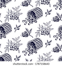 Blueberry vector seamless pattern. Isolated berry branch sketch on white background. Summer fruit engraved style illustration. Detailed hand drawn vegetarian food. Great for label, poster, print