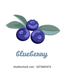 Blueberry. Vector simple illustration of forest berries with leaves isolated on white background. Flat style.