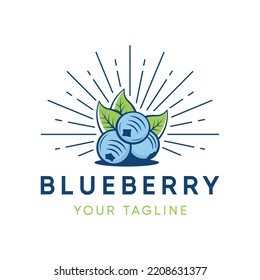 Blueberry vintage logo designs vector
