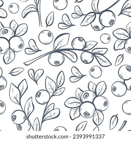Blueberry vintage seamless pattern. Hand engraving butterfly background. Sketch monochrome whortleberry print for packaging design, production, textile, paper, vector illustration