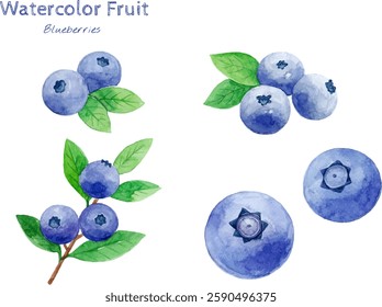 Mirtilo aquarela mão pintura de frutas ilustração