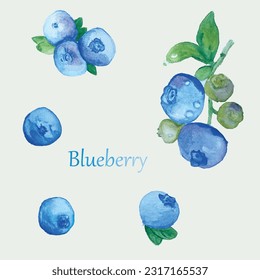 blueberry watercolor summer berries fresh