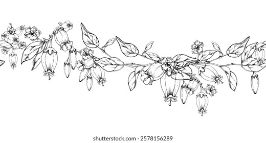 Blueberry white line bell flower and bud with plant leaves on branches, hand drawn in ink vector, wildflower botanical illustration. Seamless isolated banner, for wedding, florist shop, scrapbooking