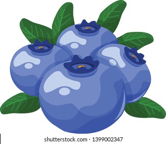 blueberry wild blueberries vector art illustration