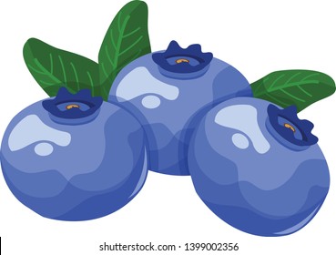 blueberry wild blueberries vector art illustration