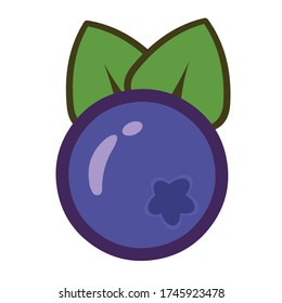 blueberry wild blueberries vector art illustration