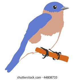 bluebird