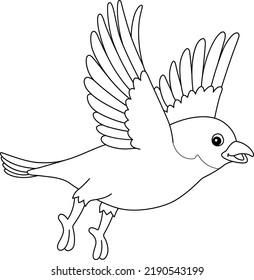 Bluebird Animal Isolated Coloring Page For Kids