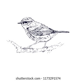 2,140 Bluebird drawing Images, Stock Photos & Vectors | Shutterstock