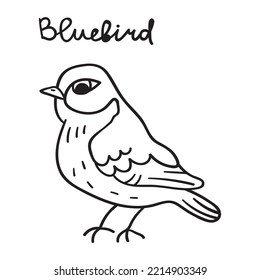 Bluebird. Outline Hand Drawn Icon.