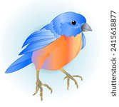 Bluebird small bird thrush  on a blue background   watercolor vintage  vector illustration editable hand draw