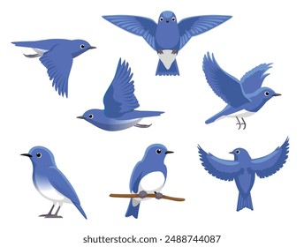 Bluebird Various Poses Cartoon Vector Character