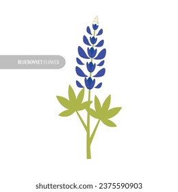 bluebonnet flower design modern vector illustration