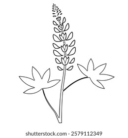 bluebonnet flower design vector illustration