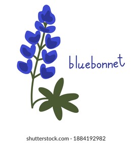 Bluebonnet Vector Flower Isolated Illustration