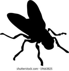bluebottle silhouette